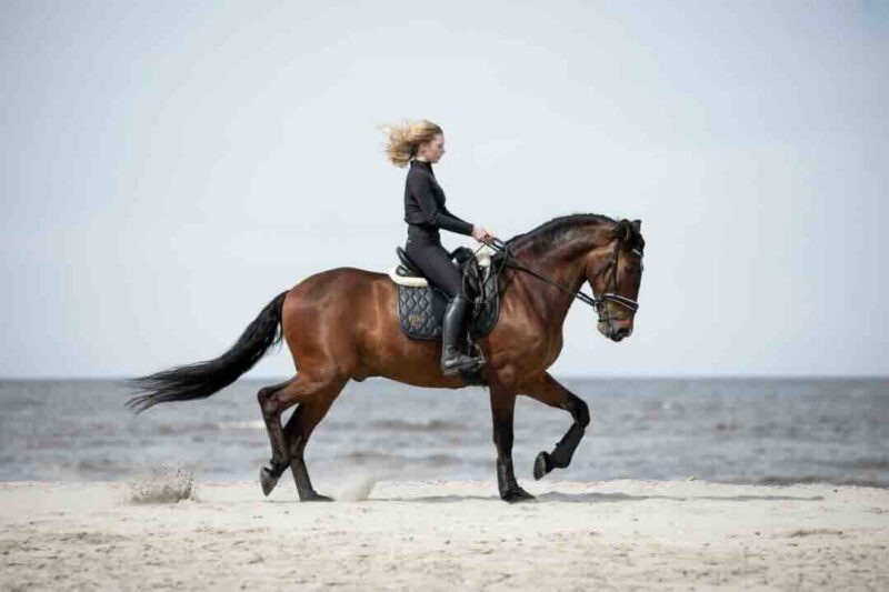 Dylana-2026-11