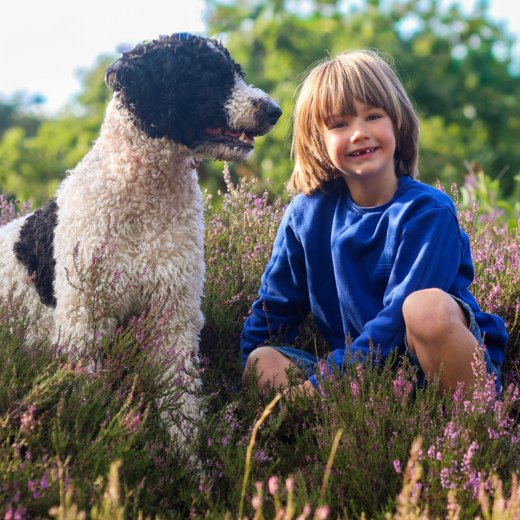 1000061243 1000061243